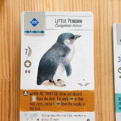 Wingspan (Крылья) - фото 9