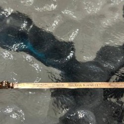 Солнцезащитные очки Orgreen Bermunda - фото 2