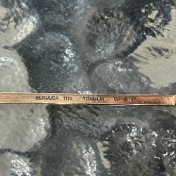 Солнцезащитные очки Orgreen Bermunda - фото 3