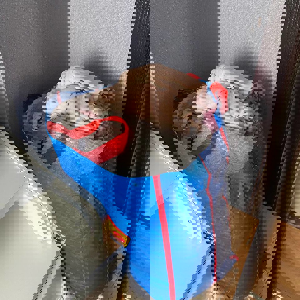 Женская одежда