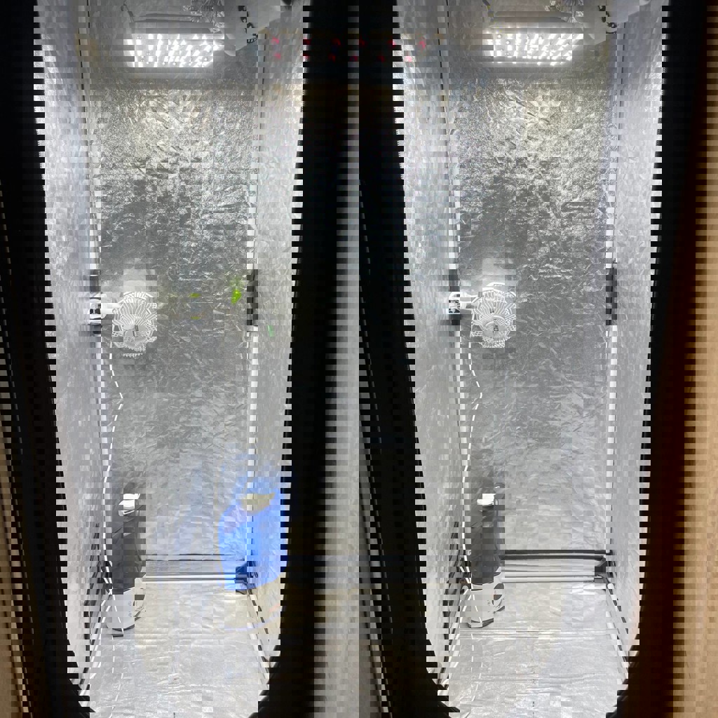 Колонки Edifier R1280DB