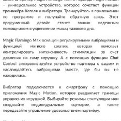 Интерактивный тренажер Кегеля - фото 2