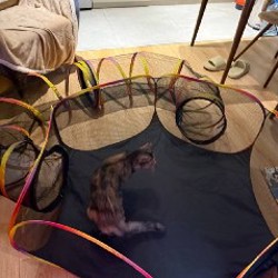 Манеж для кошки - фото 2