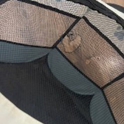 Манеж - фото 2