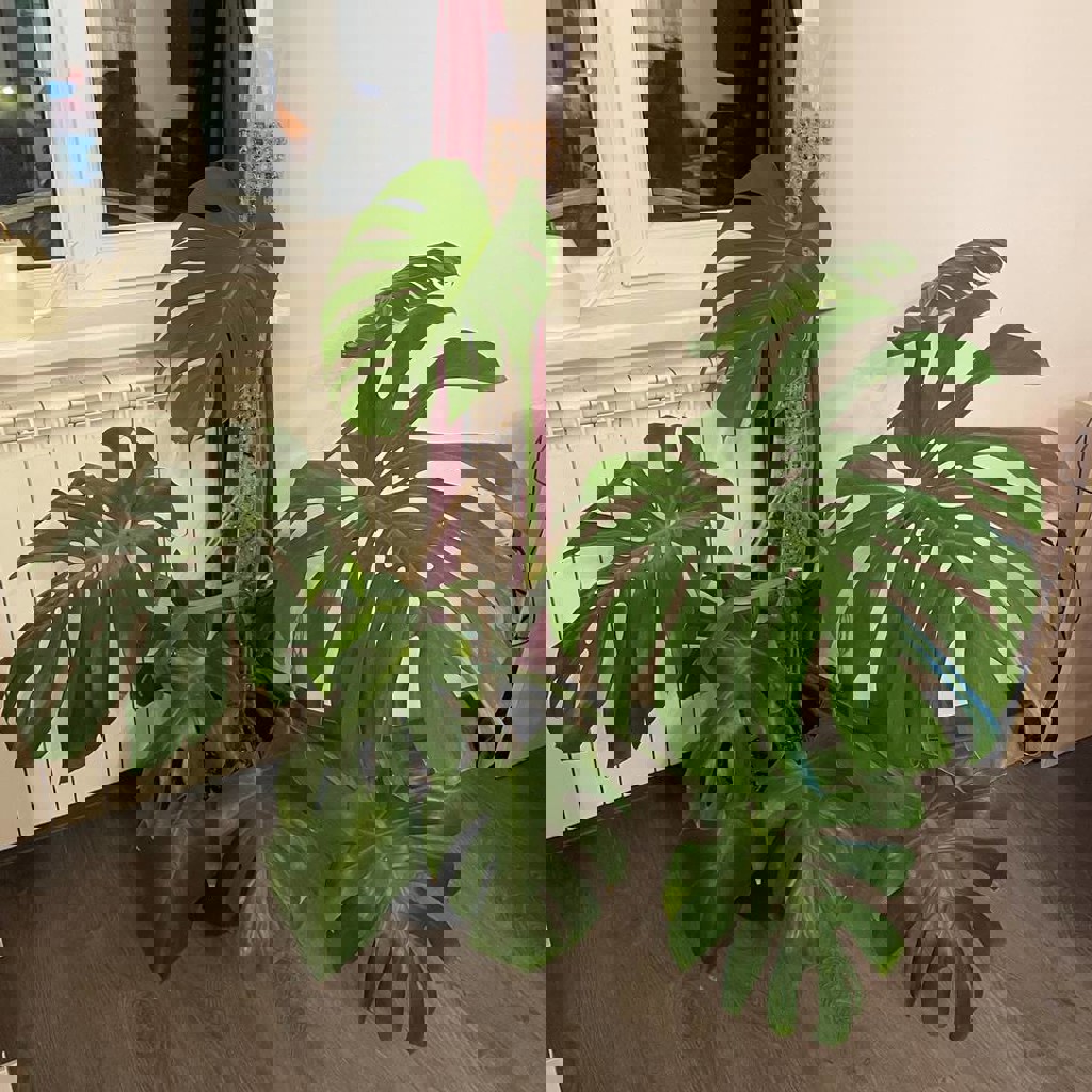 Пульверизатор