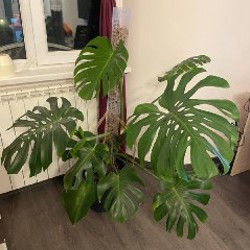 Пульверизатор - фото 1