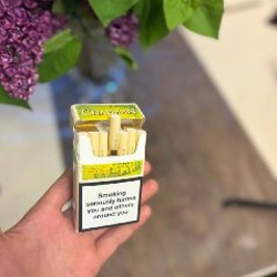 Чапман Вишня - фото 2