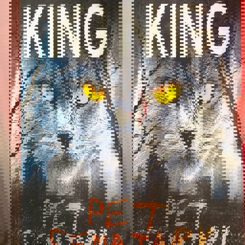 Книга Стивен Кинг «Кладбище домашних животных»