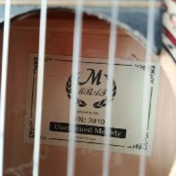 Гитара - фото 2