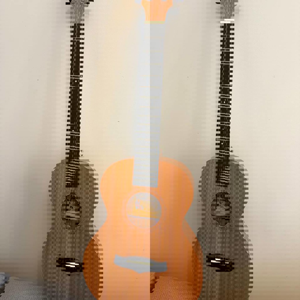 Укулеле с чехлом Enya EUT-20