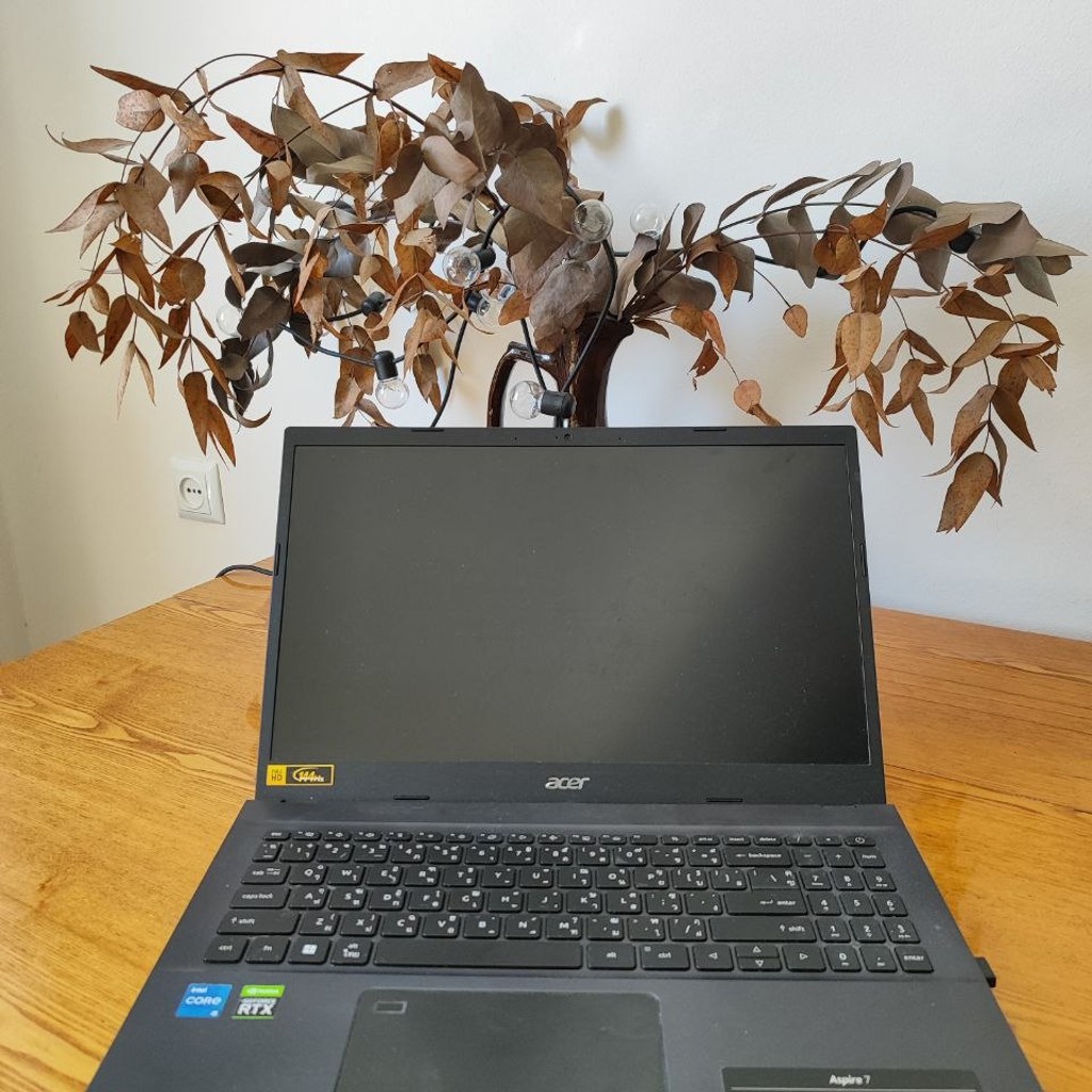 Игровой ноутбук Acer Aspire 7