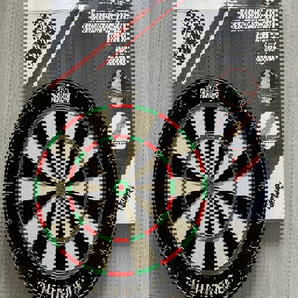 Профессиональный дартс