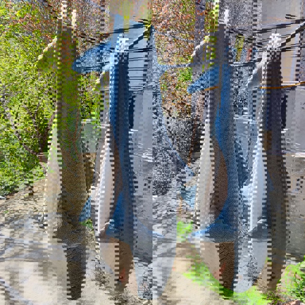 Две похудевшие акулы