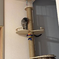 Когтеточка / игровая площадка для кота - фото 3