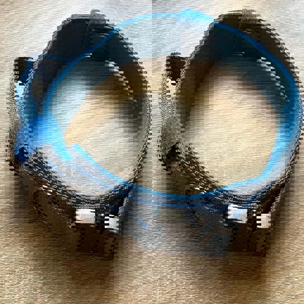 Ошейник для собак