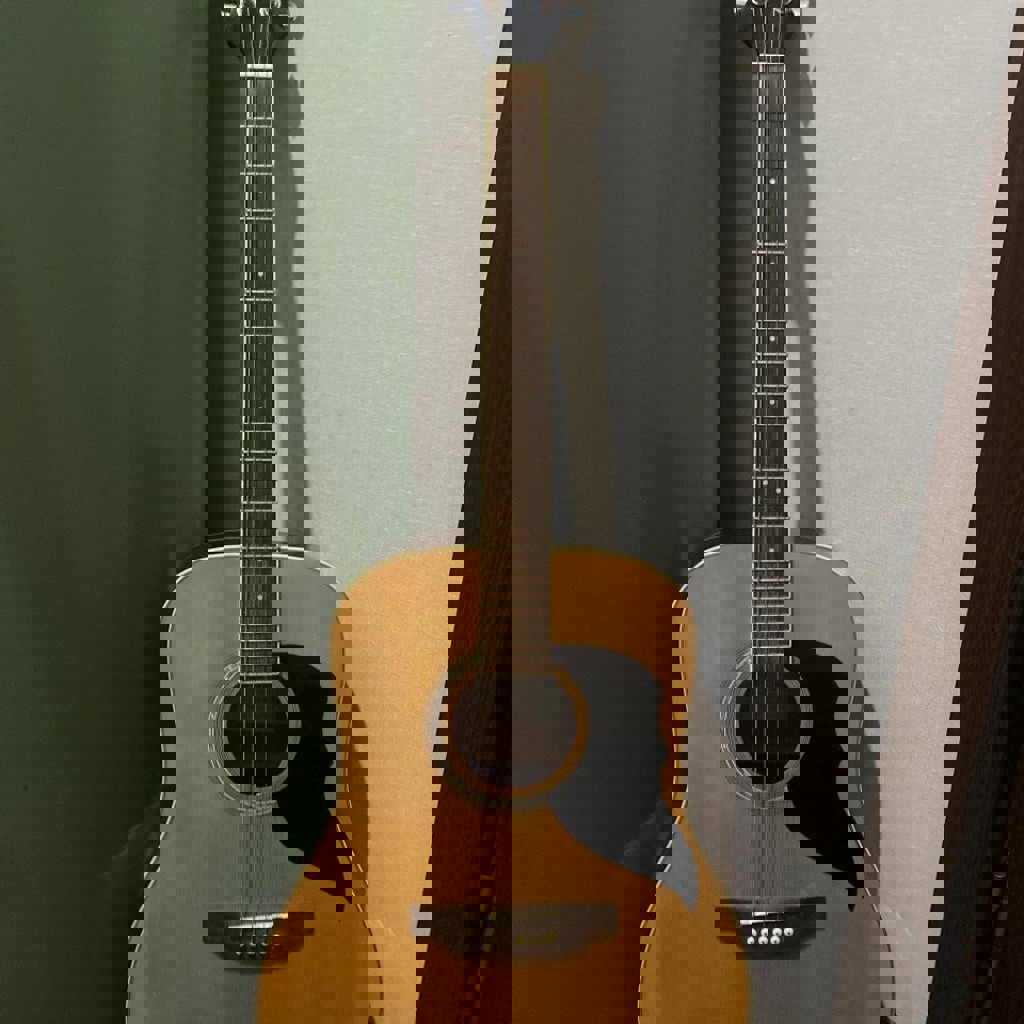 Акустическая гитара Eko Ranger Pack N