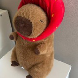 Капибара - фото 2