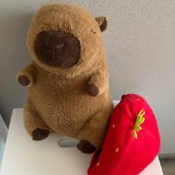 Капибара - фото 3