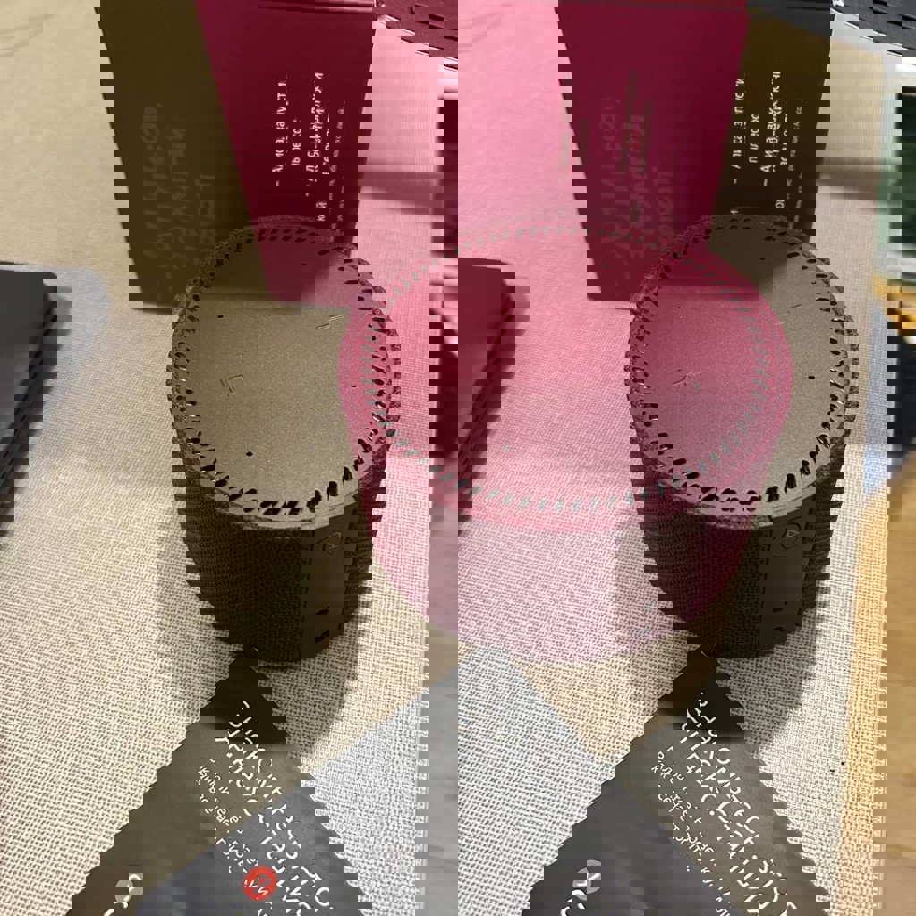 Алиса Мини Станция