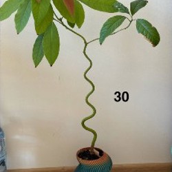 Часы 'Космос' - фото 3