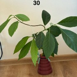 Часы 'Космос' - фото 4