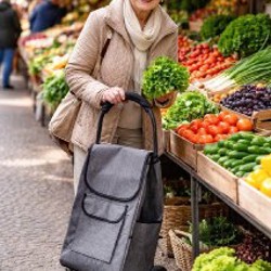 Тележка (тачка) - фото 3