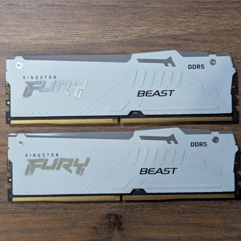 Kingston Fury Beast White RGB