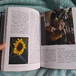 Искусство обмана - фото 5