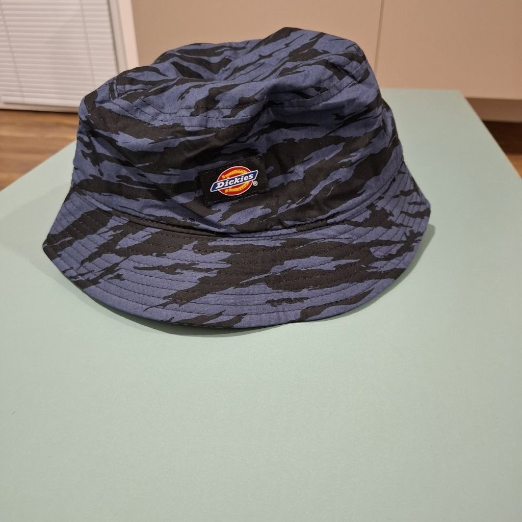 Панама Dickies