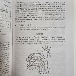 Атлас анатомия и физиология человека - фото 3
