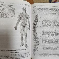 Атлас анатомия и физиология человека - фото 4