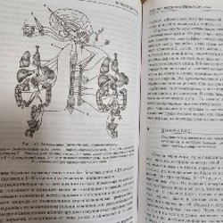 Атлас анатомия и физиология человека - фото 5