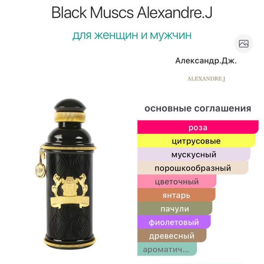Black Muscs Alexandre.J The collector