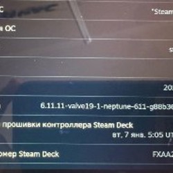 Стимдек - фото 5