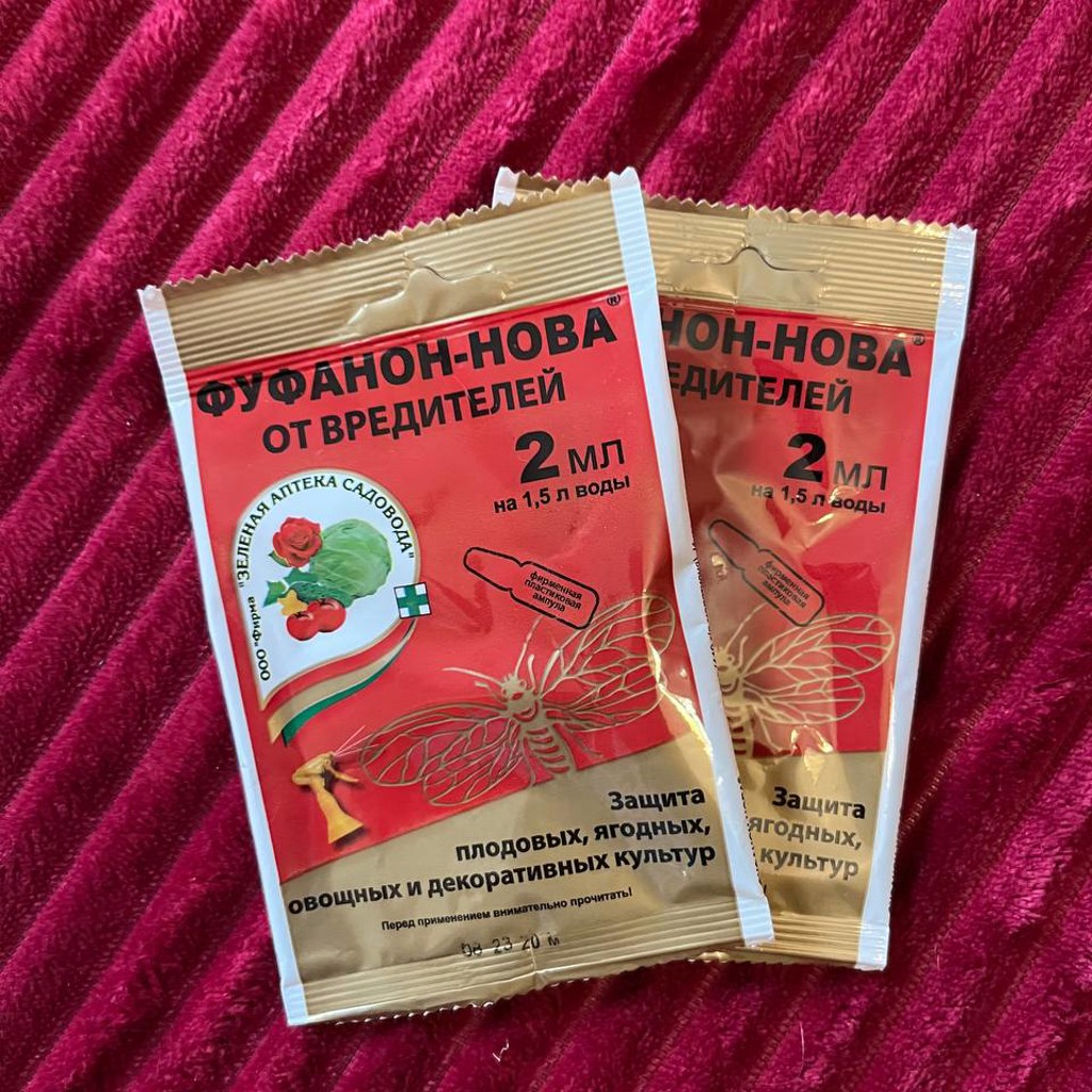 Фуфанон-Нова