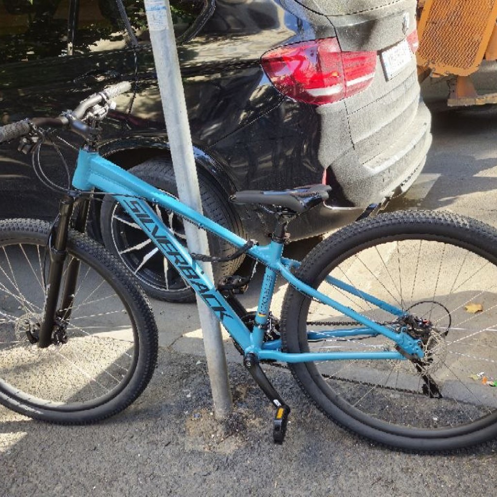 Silverback Stride HD 29