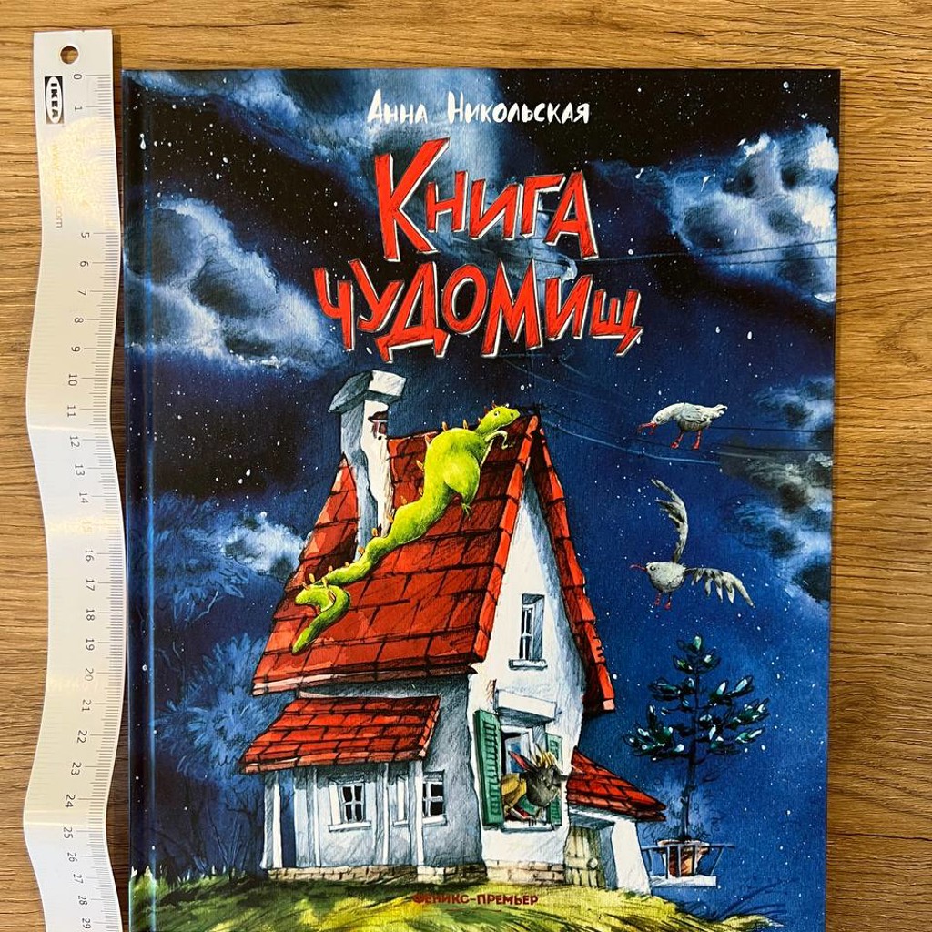 Книга чуДОМищ