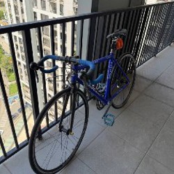Colnago SQUADRA - фото 2