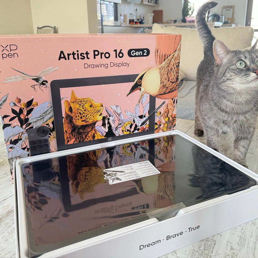 XP-Pen Artist Pro 16 (Gen 2)