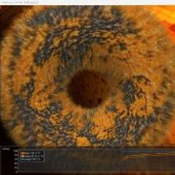 Ноутбук ASUS TUF GAMING FX504 - фото 4