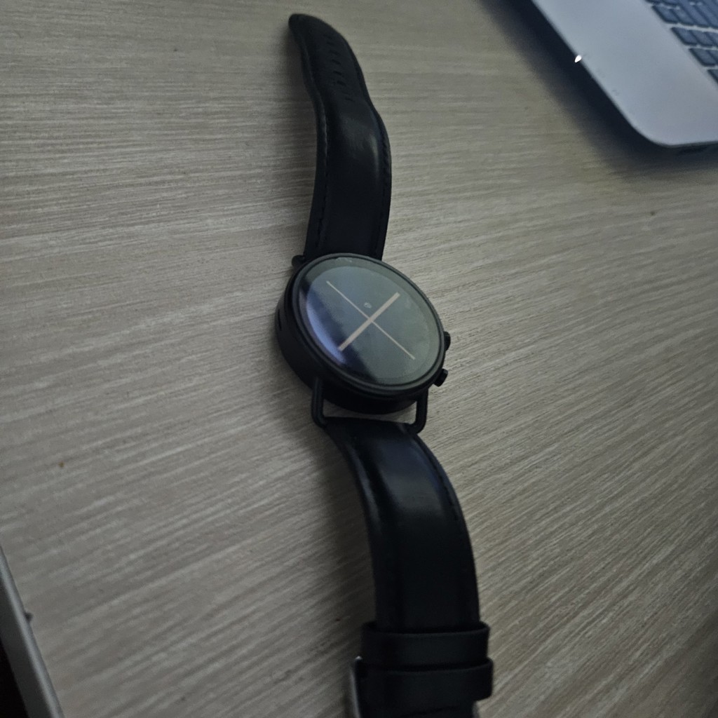 Смарт часы Skagen Falster 3
