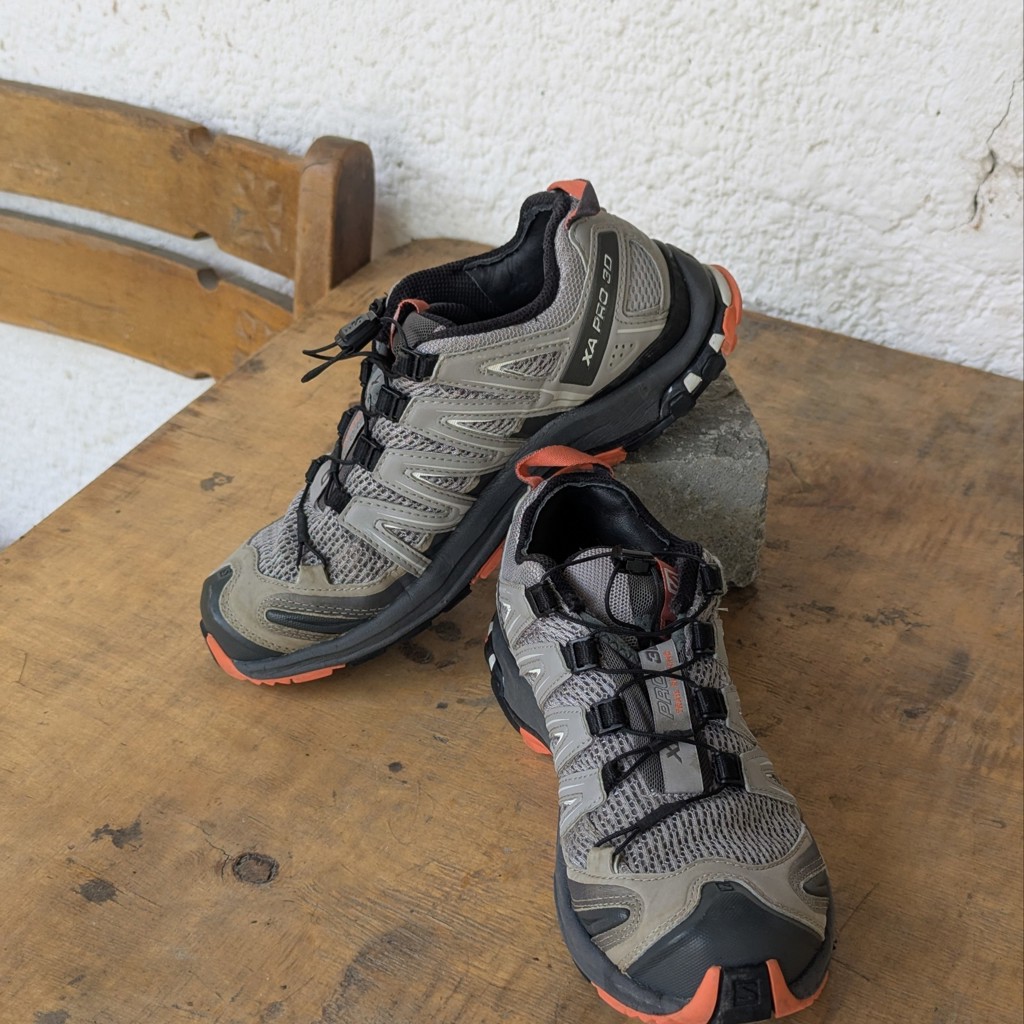 Кроссовки Salomon Xa Pro 3D Alloy/Magnet
