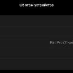 Комплект Apple iPad Pro 11 + Magic Keyboard + Apple Pencil 2 + классический чехол - фото 5