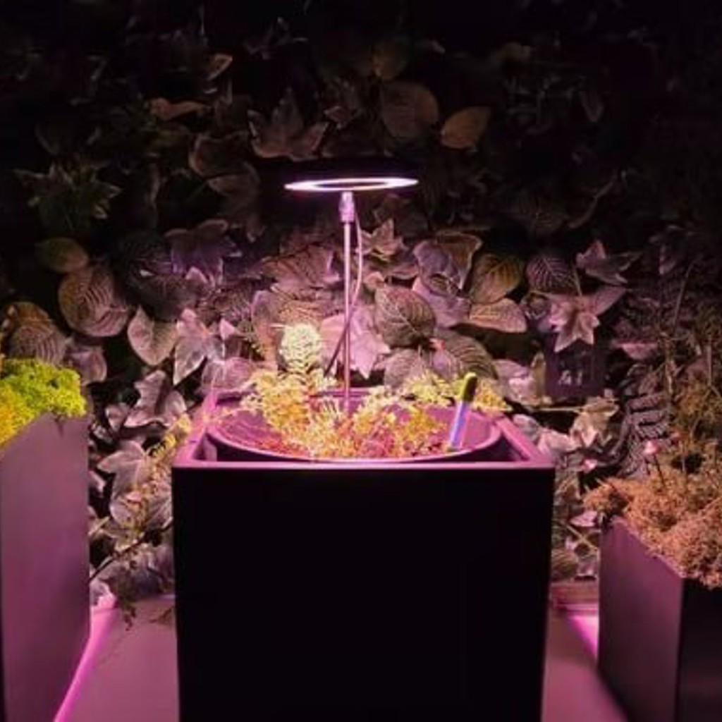 LED лампа на подставке