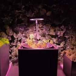 LED лампа на подставке - фото 1