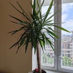 Настольные игры - фото 1