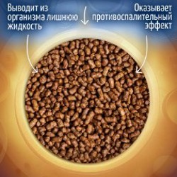 Чай гречишный - фото 2