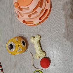 Игрушки и шлейка для собаки - фото 3