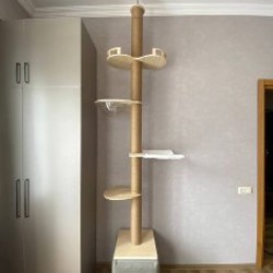 Кошачье дерево (когтеточка) - фото 4