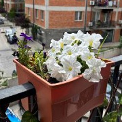 Свеча ручной работы с яблочным ароматом - фото 3
